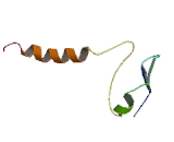 Fatty Acid Transport Protein 1 (FATP1)