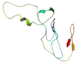 Fibroblast Growth Factor Binding Protein 3 (FGFBP3)