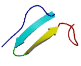 Fibulin 3 (FBLN3)