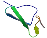 Fibulin 5 (FBLN5)