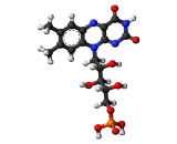 Flavin Mononucleotide (FMN)