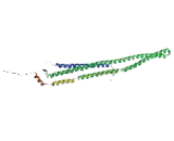 Formin Binding Protein 1 (FNBP1)