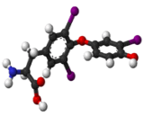 Free Thyroxine (fT4)