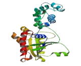 G Protein Alpha Inhibiting Activity Polypeptide 2 (GNaI2)