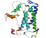 G Protein Coupled Receptor, Family C, Group 5, Member D (GPRC5D)