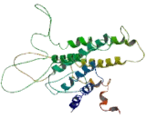 G Protein Coupled Receptor 39 (GPR39)