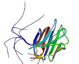 Galectin 4 (GAL4)