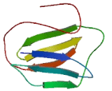 Galectin 9C (GAL9C)