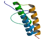 Glucose-6-Phosphatase, Catalytic (G6PC)