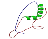 Glutamate Cysteine Ligase, Catalytic (GCLC)