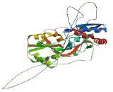 Glutamate Receptor, Ionotropic, AMPA 4 (GRIA4)