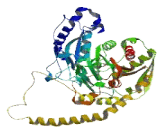 Glutaminyl tRNA Synthase Like Protein 1 (QRSL1)