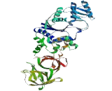 Glutaminyl tRNA Synthetase (QARS)