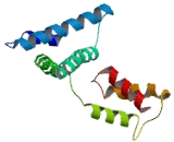 Glutamyl tRNA Amidotransferase Subunit E (GATE)