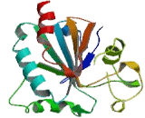 Glutathione Peroxidase 3, Plasma (GPX3)