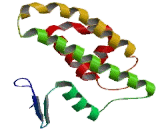 Glutathione S Transferase Mu 1 (GSTM1)