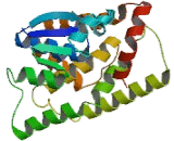 Glutathione S Transferase Theta 1 (GSTt1)