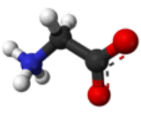 Glycine (Gly)