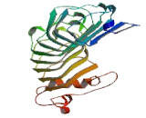 Glycocalicin (GC)