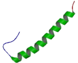 Glycophorin A (GYPA)