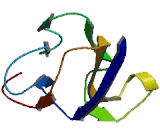 Glycoprotein A33 (GPA33)