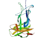 Glycoprotein VI (GP6)