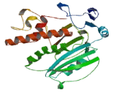 Glycosyltransferase 6 Domain Containing Protein 1 (GLT6D1)