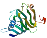 Golgin A6 Like Protein 10 (GOLGA6L10)