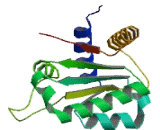 Growth Arrest And DNA Damage Inducible Protein Alpha (GADD45a)