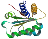 Growth Arrest And DNA Damage Inducible Protein Beta (GADD45b)