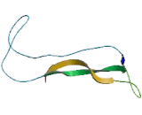 Growth Differentiation Factor 11 (GDF11)