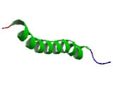 Growth Hormone Releasing Hormone (GHRH)