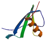 Chemokine (C-X-C Motif) Ligand 2 (CXCL2)