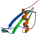 Chemokine (C-X-C Motif) Ligand 3 (CXCL3)