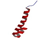 Guanylate Cyclase 2E (GUCY2E)