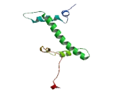 H2A Histone Family, Member V (H2AFV)
