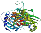 Heat Shock Protein 90kDa Alpha A1 (HSP90aA1)