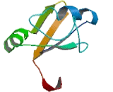 Heterogeneous Nuclear Ribonucleoprotein A1 Like Protein 2 (HNRPA1L2)