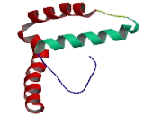 High Mobility Group Box Protein 3 (HMGB3)