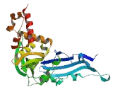 Histone Acetyltransferase 1 (HAT1)