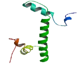 Histone Cluster 1, H2ad (HIST1H2AD)