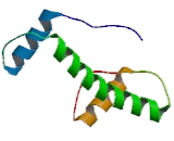 Histone Cluster 1, H4a (HIST1H4A)