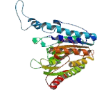 Histone Deacetylase 1 (HDAC1)