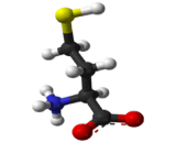 Homocysteine (HCy)