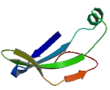 Hydrogen Ion/Peptide Transporter 1 (HPEPT1)