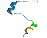 Hypoxia Inducible Factor 1 Alpha (HIF1a)