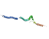 IK Cytokine, Down Regulator Of HLA II (IK)