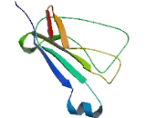 Immunoglobulin Lambda 2 (Igl2)