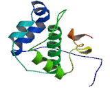 Indoleamine-2,3-Dioxygenase 2 (IDO2)