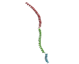 Inhibitor Of Nuclear Factor Kappa B Kinase Interacting Protein (IKBIP)